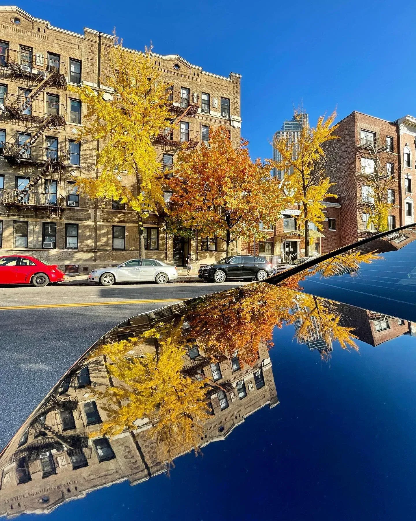 Fall AF means “Fall Amber Foliage,” right? π #fallaf